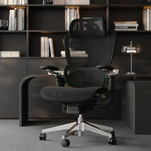 Ergonomic Office Chair, Mesh Home Office Desk Chair with Adaptive Lumbar Support, Gaming Chair with Headrest, 5D Armrest,90-130Tilt, BIFMA Certified, Model Zen (Green)