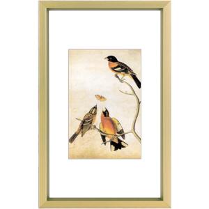 3x5 Picture Frame, Brass Metal Photo Frames with HD Glass, Fits 2x3 with Mat or 3 x 5 without Mat, Display for Wall and Table, 1 Pack