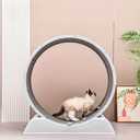 Cat Exercise Wheel, Silent Running Treadmill with Replaceable Carpet Mat, Lockable Indoor Cat Toy for Weight Management & Kitty Daily Workout