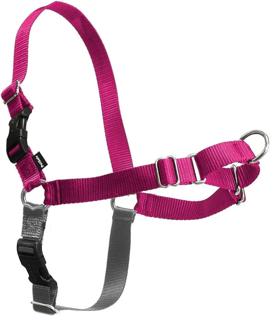 PetSafe Easy Walk Harness for Dogs - Pull-Free Walks - Patented Martingale Loop Design - Front Chest Leash Attachment - Comfort Straps - Breathable Harness Design - Small Raspberry/Gray