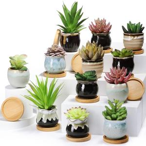 Remerry 12 Pcs Small Succulent Pots Bulk with Drainage Assorted 2.5 Inch Mini Ceramic Succulent Planters Pot with Coaster Bamboo Plant Tray Planting Pots for Home Office Garden (Rich Color), 2.5 x 2.15 inches
