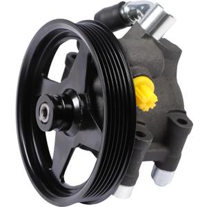 Daysyore Power Steering Pump 20-312P1 Fit for 2003-2006 Expedition for 2004-2008 F-150 for 2006-2008 Mark LT for 2003-2006 Navigator OE Number 96-312