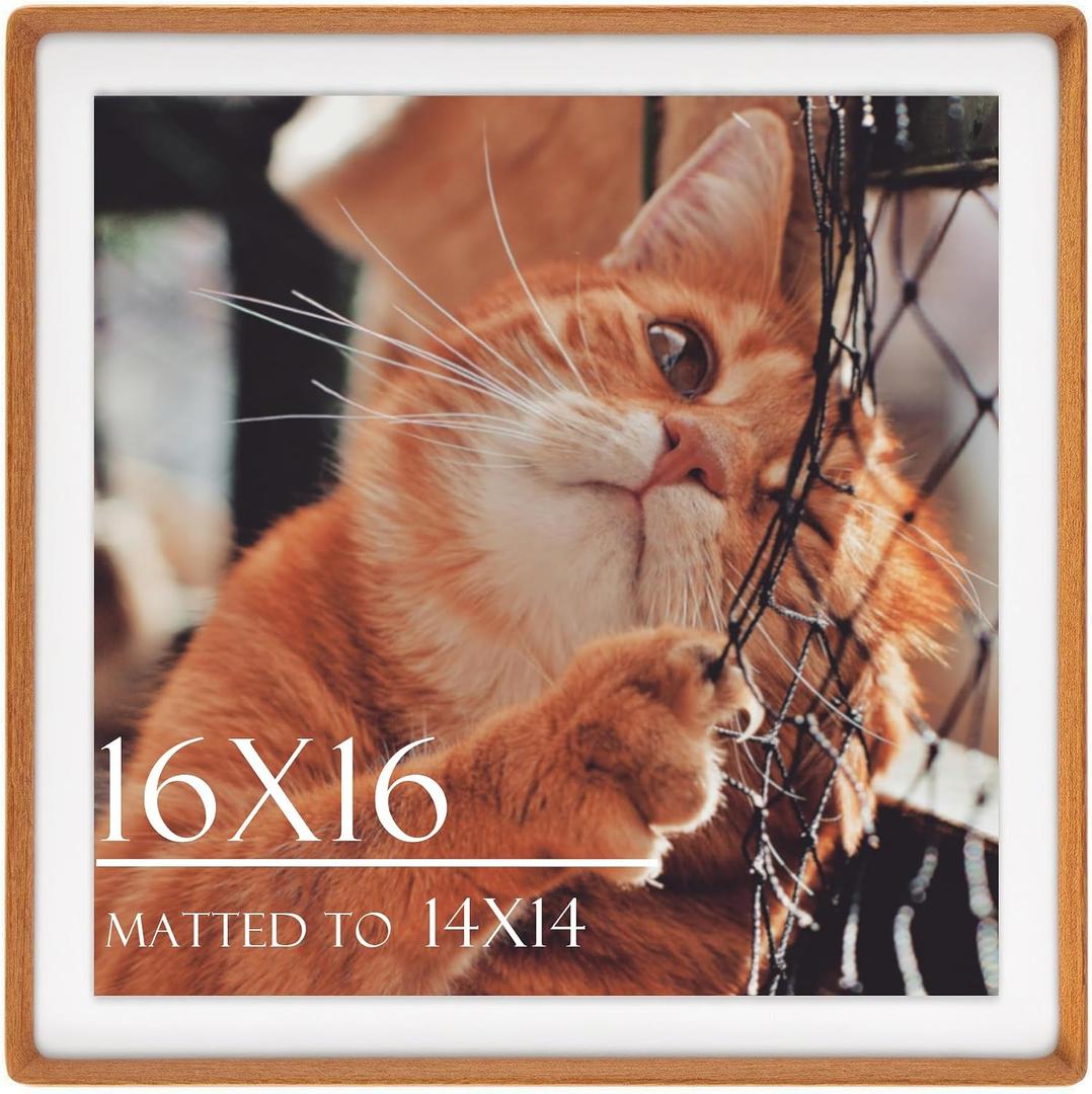 16x16 Solid Teak Picture Frame, Matted for 14x14 Photos