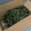 INSPRING 27'' Artificial Boxwood Topiary Trees Outdoor Fake Bushes Plants UV Resistant Evergreen Shrubs with Metal Ground Spike for Porch Patio Garden, 1 Pack