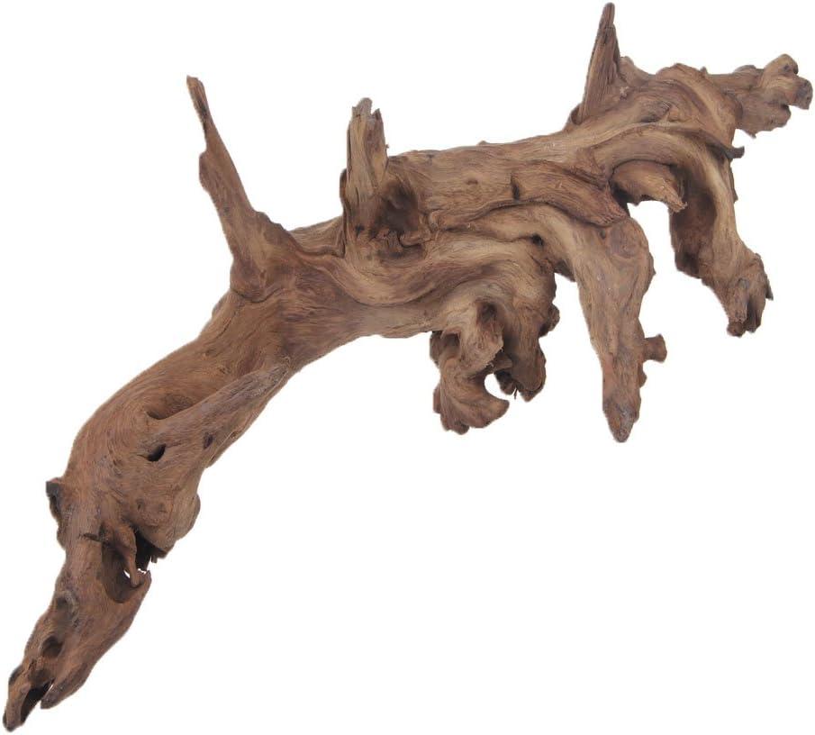 emours Aquarium Driftwood Fish Tank Decoration (XLarge(11 to 14 inches in Length)