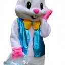 Easter Bunny Mascot Costume Rabbit Cartoon Fancy Party Dress Performance Suit Adult, As Picture, One Size