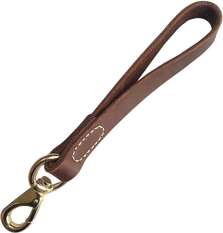 FAIRWIN Leather Short Dog Leash 12" - Short Dog Traffic Lead Leash for Large Dogs Training and Walking (Width: 3/4") (Brown-New)