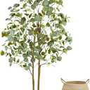 Warmplants Artificial Eucalyptus Tree, 5ft Tall Fake Eucalyptus Plant with Woven Basket, 60'' Silk Leaves Faux Tree for Indoor Home Office Livingroom Garden Floor Dcor