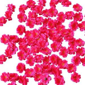 100 Pcs 5cm Artificial Cherry Blossom Flowers Petals Faux Flower Heads Plum Blossom Heads Flower Embellishments Decorative Craft Flowers Wedding Party Home Decorations Hot Pink