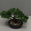 Artificial Bonsai Tree Juniper Faux Plants Indoor Small Fake Plants Decor with Ceramic Pots for Home Table Office Desk Bathroom Shelf Bedroom Living Room Farmhouse Decorations