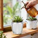 QCQHDU 2 Pack Self Watering Pots, 7.2 Inch Flower Pots with Drainage Holes and Water Filling Port, Plastic Garden Planter for Indoor Outdoor Plants (Clear)