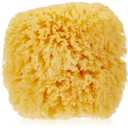 Bath Accessories Natural Sea Sponge, Medium/5"
