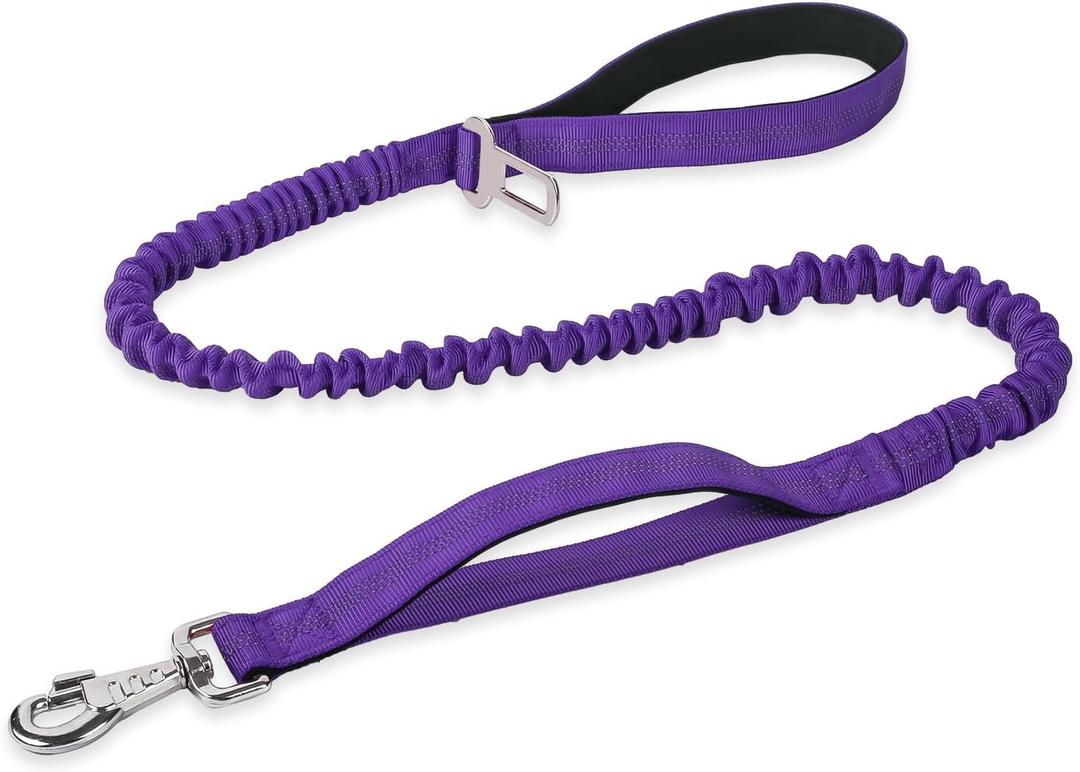 BUMBIN 6Ft Dog Leash - Large Dogs, Bungee Leash with 2 Handles, Heavy Duty, No Pull Shock Absorbing, Purple