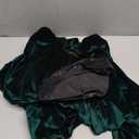 Takuvan Professor Witch Costume Adult Women Dark Green Velvet Dress Wizard Plus Size Costumes Outfit for Halloween Cosplay.M