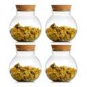 DNIENKGE 17oz Spherical Glass Jar with Cork Lid Airtight - Kitchen Glass Jar for Preserving and Storing candy, tea, Coffee, Spice, flour, Beans etc