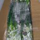 TURNMEON 20 Bundles Calla Lily (400 Heads) Artificial Flowers for Outdoors, Fake Plants UV Resistant Faux Plastic Fake Flowers for Indoor Planter Porch Gardens Home Summer Cemetery Decor(Color Mix)