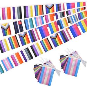 Pack of 2, Lebei 2 Pack Progress Gay Pride Flags Banner Bunting Rainbow LGBTQ Intersex Garland String Decorations 40Feet 30Flags 5x8 Inch
