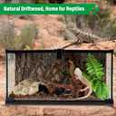 Driftwood for Aquarium Natural Aquarium Wood for Aquascaping Fish Tank Decorations Reptile Tank Decor (Natural Driftwood 12-16" 1 Pack+Protein Cotton)