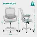 OLIXIS Home Office Chair, Mesh Desk Chair, Ergonomic Lumbar Support, 18.5"D x 20.08"W x 41.5"H
