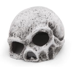 Ceramic Skull - Large