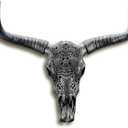 KIWZZXXKW Cow Skull Wall Decor, Longhorn Wall Decor with Carved Details, Hand-Carved Authentic Taxidermy Cow Skull/Longhorn Skull Animal Boho Style Wall Sculpture27*26 * 10inch(Black)