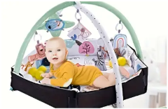 Baby Play Gym