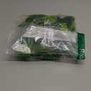 BAENRCY 32pcs 0.79-6.30 inch Model Trees Mixed Size Miniature Trees Model Train Scenery Architecture Trees Model Scenery with No Stands(All Green)