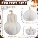 AceOrbit 3 Pcs Fall Decor Outdoor Handmade Terracotta Pumpkins, Beige, 2.6 x 9.1 inch; 6.7 x 6.3 inch; 3.5 x 5.1 inch