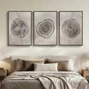 Large Framed Gray Tree Rings Wall Art for Living Room, 3 Piece Neutral Nature Tree Stump Canvas Artwork for walls, Wabi Sabi Wood Grain Prints Paintings for Bedroom Hallway Wall Decor, 24x36 Inchs