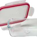 Borosilicate Microwave and Oven Safe Rectangular Glass Food Storage Container with Snap Locking Plastic Lid, Red Lining, 11 oz., Clear