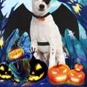 2 x Halloween Dog Bat Wings Costume, Pet Halloween Cosplay Party Dress Up Clothes with Pumpkin Bells for Dogs and Cats (Medium)