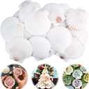 30PCS Scallop Shells for Crafts 2''-3'' Natural White Large Shells Decoration for DIY Craft Painting, Home Decor, Baking and Beach, Wedding Party Decoration