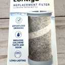 Contigo Replacement Filter Cybourn Water Bottle 