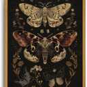 Framed Vintage Moth Butterfly Wall Art Dark Academia Wall Decor Pictures Boho Botanical Canvas Art Prints Nature Artwork Paintings for Living Room Bedroom 12x16in