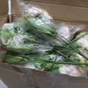 Janinka 37 Pack Fake Flowers with Vase 24 Bundles Artificial Hydrangea Bouquets 12 Clear Vase for Home Office Farmhouse Centerpiece Table Decor (Champagne)