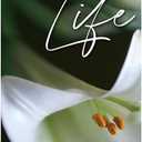 Christian Brands Easter Banner – “I Am the Resurrection” Church Banner, 2' x 6'