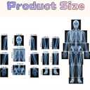 15 Pcs Human X-Ray Science Kit Tutorial Body Skeleton Xray Kit