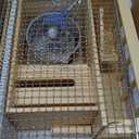 4-in-1 Waterproof Wooden Rabbit Litter Box with Hay Feeder, 2 Food Bowls, and Water Bottle | Large Capacity, Waste-Preventing Design for Rabbits, Guinea Pigs, Chinchillas, and Small Animals