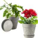 Melphoe Plant Pots Indoor with Drainage & Saucer, 2Pack 8 inch Flower Pots Outdoor Planters for Indoor Plants Garden Home Decor Cactus Succulent, Rigid Plastic (Imitation-Terracotta) Vine-Embossed