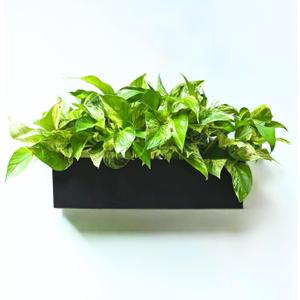 LaLaGreen Wall Planter (16 Inch, 1 Pack) Rectangular Metal Hanging Flower Pot for Succulents Carbon Steel Black, Long Window Sill Box Modern Fence Floating Garden Shelf for Deck Indoor Outdoor Decor