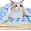Ultra Soft Dog Cat Bed Mat with Cute Prints Reversible Fleece Dog Crate Kennel Pad Cozy Washable Thickened Hamster Guinea Pig Bed Pet Bed Mat for Small Animals (Blue,19 x 14 Inches)