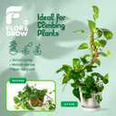 3 x 2 Pack 28" Sturdy Easy to Use Moss Pole Monstera Plant Support Stakes - Plant Stakes for Indoor Plants, Moss Poles for Climbing Plants, Tutores para Plantas Trepadoras Monstera Support Sticks