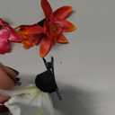 ALIMITOPIA Flower Hair Clip Bohemia Hawaiian Fabric Artificial Azalea Flower Alligator Hair Clip Hairpin Barrette Headdress Bobby Pins Headwear Hair Accessories(4.7 inches; 5pcs)