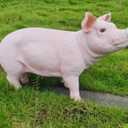 HOUDE Cute Pig Statues, 20.08 inches Long, decorates Outdoor Art Gardens, courtyards, lawns, and Indoor Public Spaces Such as Living Rooms and Balconies. (Pink)
