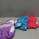 wegreeco Washable Reusable Premium Female Dog Diapers, Medium Large Small Dog Doggie Puppy & Doggy Diapers Female,Period Panties in Heat, Bright Colors (Pack of 3, Large)