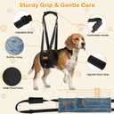 Vivifying Dog Lift Harness for Medium Dogs, Soft Flannel Hind Leg Support Sling, Adjustable Dog Lifting Harness for Weak Rear Legs, Senior Injured Disabled Dogs, ACL Surgery Mobility Assist, M, Gray