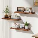 TURKIO Walnut Finish Floating Shelves,Hidden Brackets,2-Pack,24 Inches Each