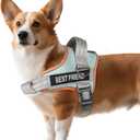 AUROTH Dog Harness No Pull Soft Padded Service Dog Vest, No Choke, Easy On Pet Vest with Handle, Adjustable Reflective Dog Harness for Small, Medium and Large Dogs, Easy Walking and Training