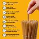 The Veggie Straws 100 PCS of 8.25 Inches Unwrapped Biodegradable Straws Made of Vegetable Fibers, Best Environment Friendly Drinking Straws for Hot and Cold Beverages