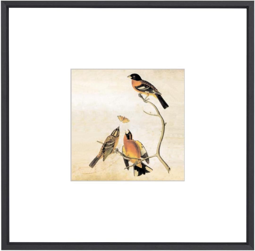 8x8 Picture Frame, Black Metal Square Photo Frames with HD Glass, Fits 5x5 with Mat or 8 x 8 without Mat, Display for Wall and Table, 1 Pack